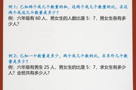 【2025秋新版】六年级上册数学比的应用例题解析