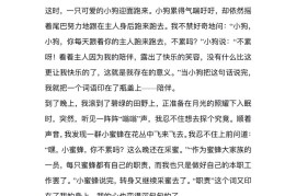 六上语文1-8单元习作精美范文