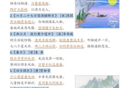 六上语文期中高频考点