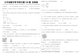 小升初数学填空题100题苏教版