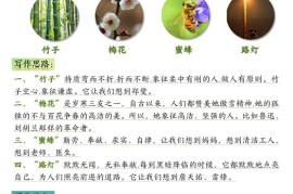 五上语文1-8单元课后小练笔（13页）