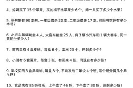 二年级下册数学解决问题专项练习100道8页