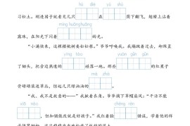 25春五下语文情境中看拼音写词语（24页）