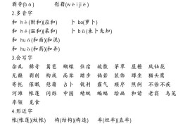 四下语文期中归类复习