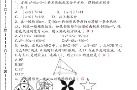【2025秋新版】八年级【数学】上册期末检测联考卷（含答案）
