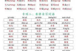 三年级语文上册暑假预习十三大专项