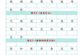 25秋二上语文识字表生字注音练习（460个字9页）