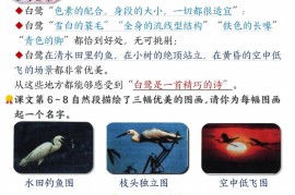 五年级上册语文课后练习题参考答案23页