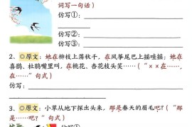 新二下语文1-8单元重点课文句子仿写（空白）