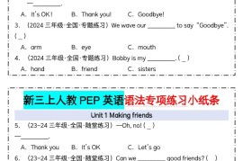 新三上人教PEP英语语法专项练习小纸条（含答案28页）