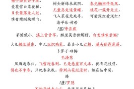 四下语文期中复习-八大高频考点归纳(4)