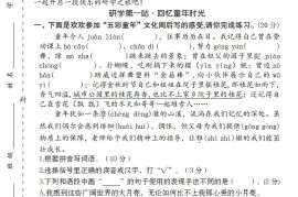 【2024-2025学年期中情境精编卷】五下语文