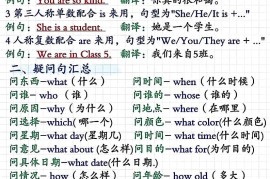 四年级上人教PEP版英语重点语法总结