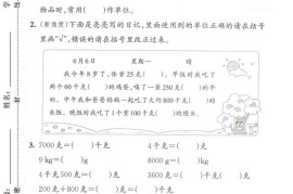 二下人教数学第九单元4