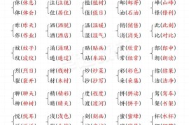 二年级下册语文★易错核心考点★汇总