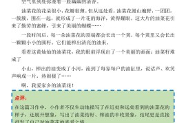 三下语文1-8单元习作作文范文24篇