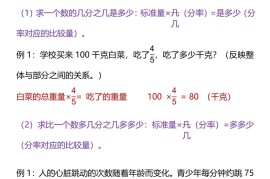 【2025秋新版】六年级上册数学分数应用题的分类练习大全