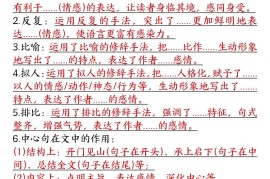 六年级阅读理解与答题模板六上语文