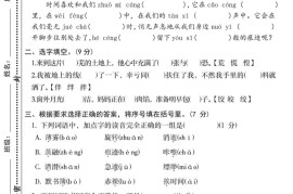 2025六下语文《第三单元综合素养测评基础卷》