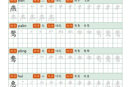 三年级下册语文笔顺同步字帖（两行）42页