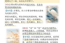 五年级语文上册暑假预习仿写句子