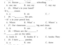 四年级上PEP版英语期中语法专项复习