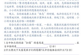 【课内阅读理解-常考核心选文每日一练（含答案26页）】四下语文