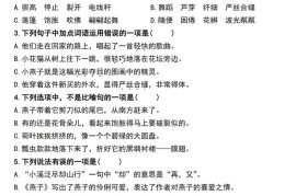 三下语文期中考试基础提优——选择题集训空白